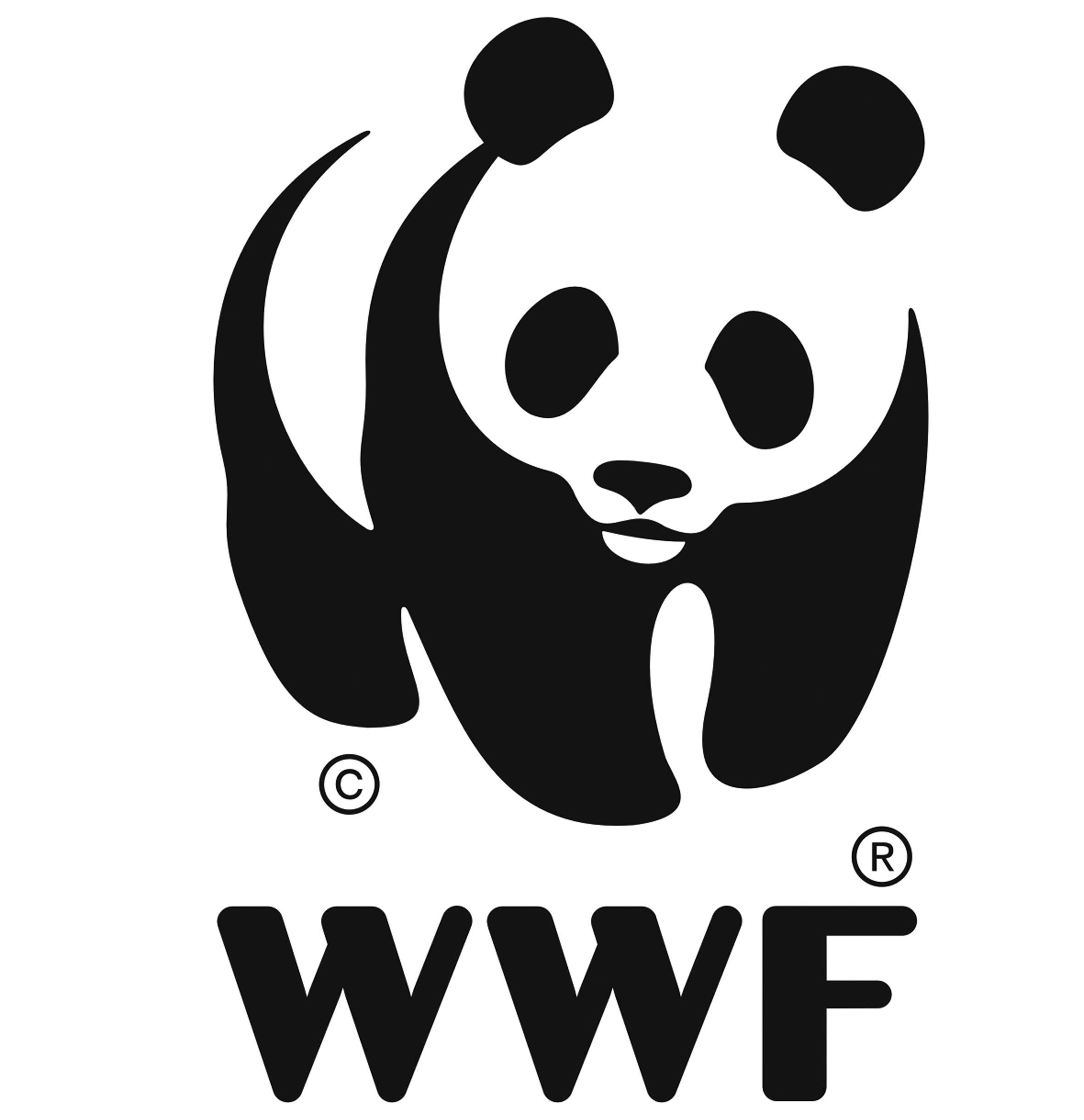 WW LOGO